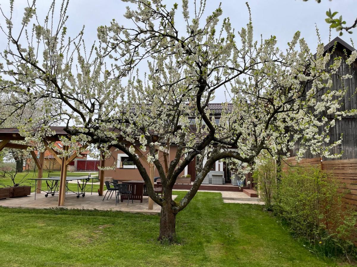 Apartmany U Lipy Tatobity Exterior foto